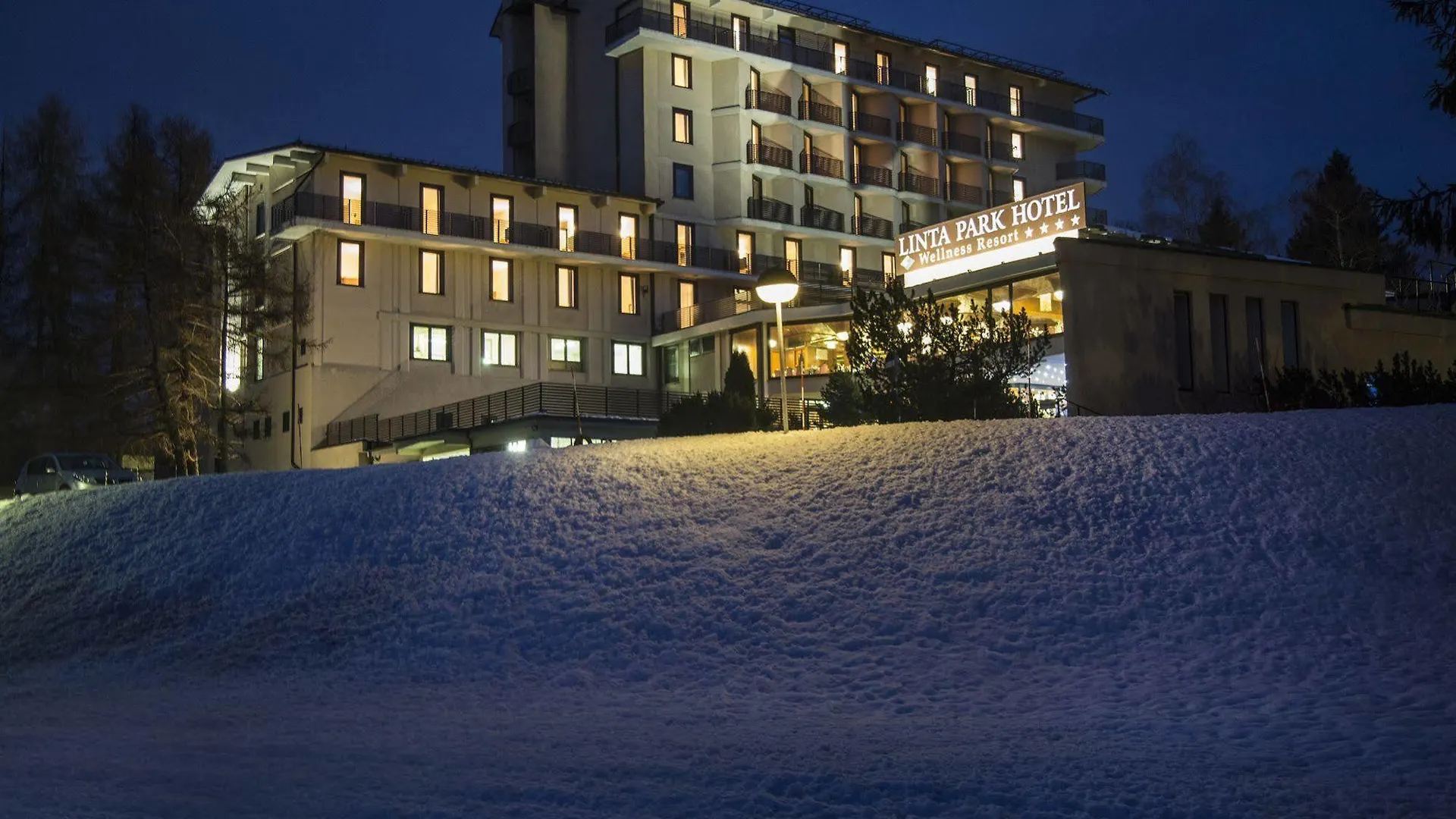 Linta Hotel Wellness & Spa Asiago 4*,